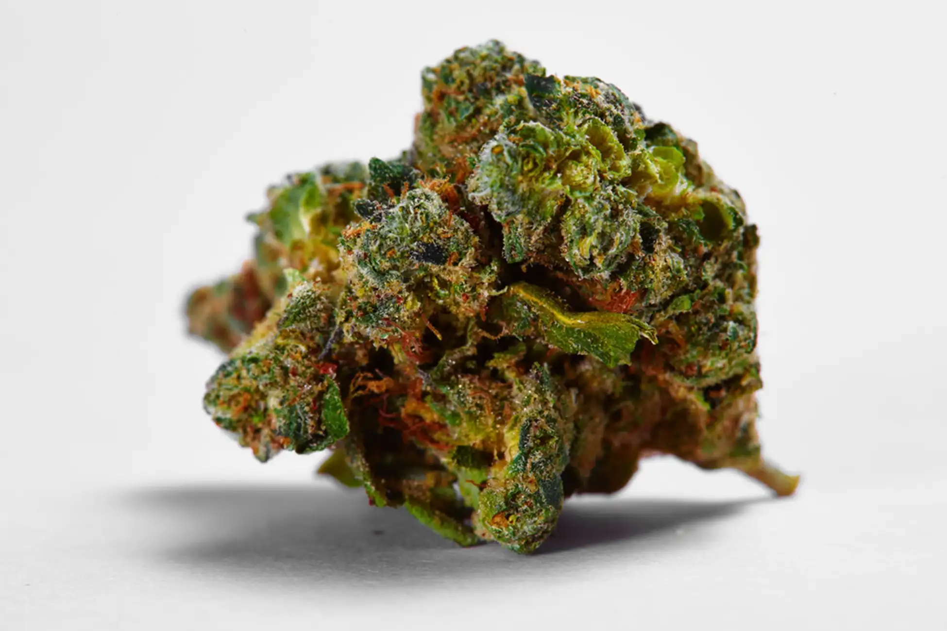 Cannabis buds with white background