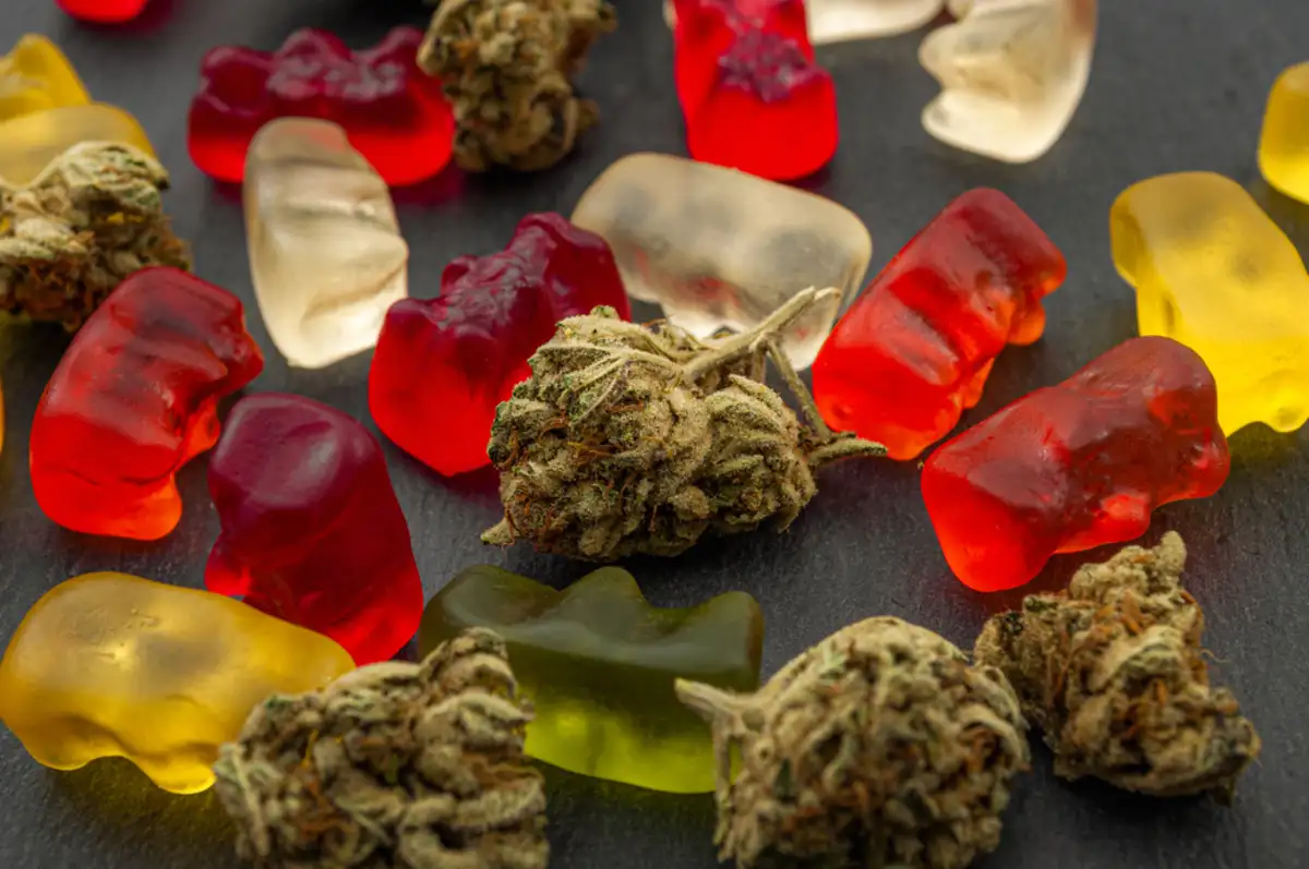 Cannabis edible with gummy bears