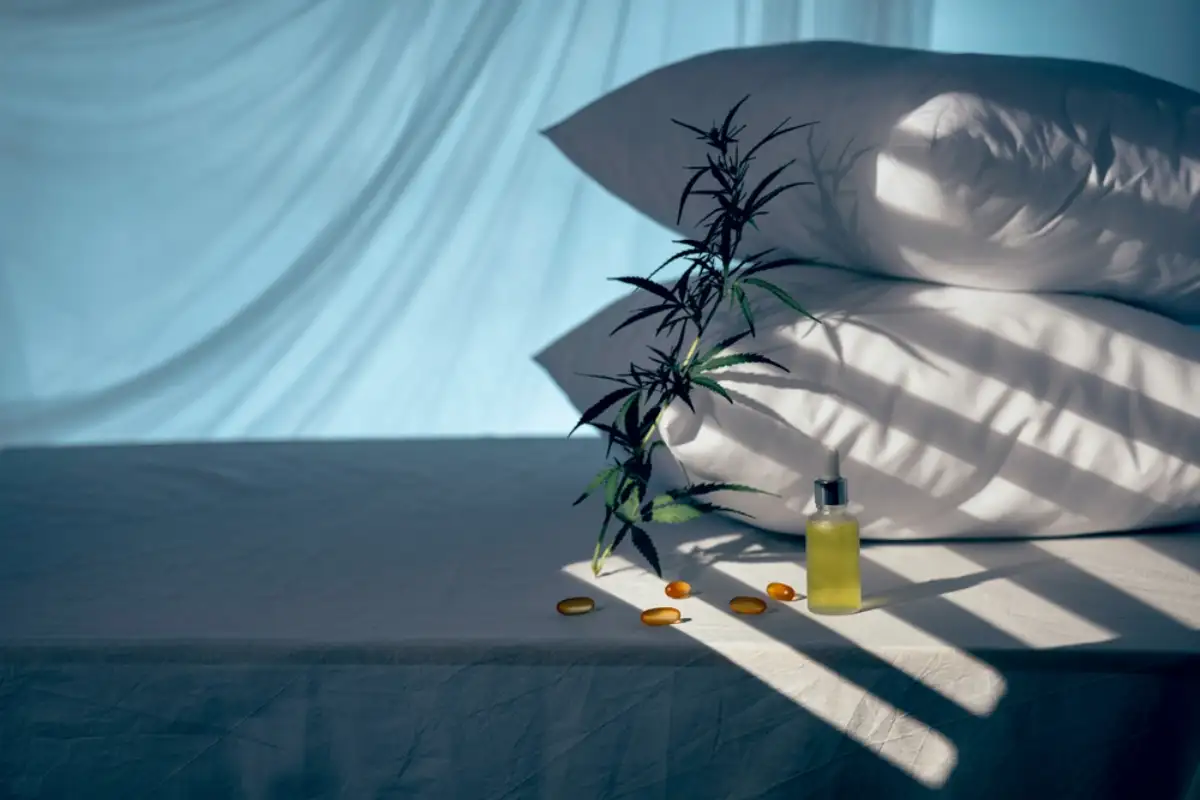 Evening bedroom with cbd oil and Cannabis