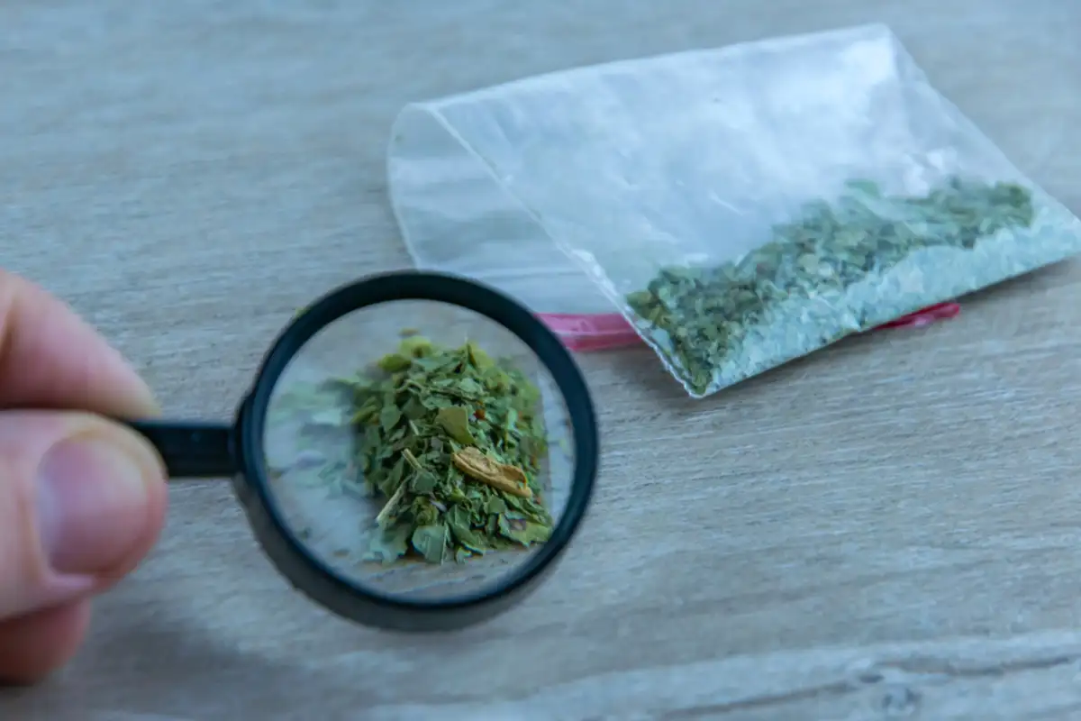 Can Synthetic Cannabis Cross State Borders?