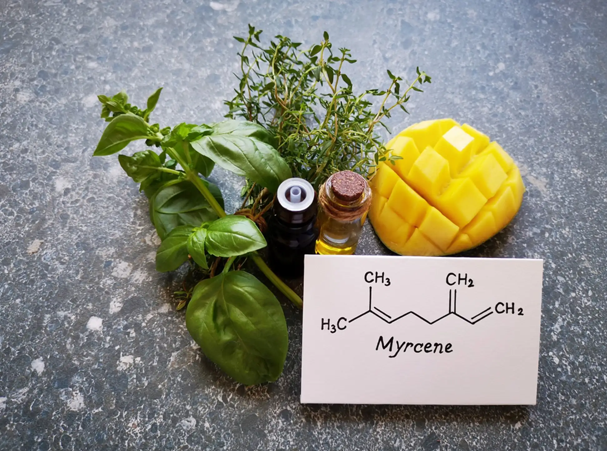 Picture of a Myrcene and pineapple and some herbs