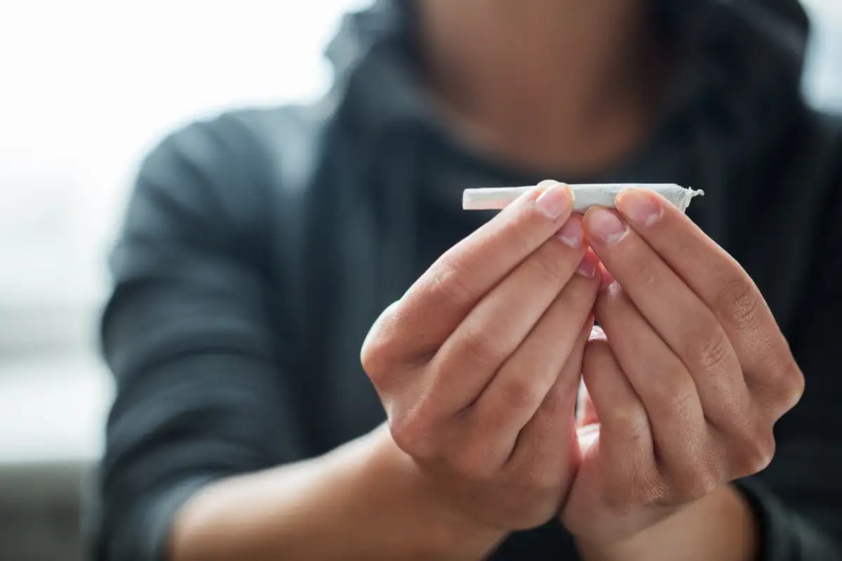 Woman holding a cannabis in their hands