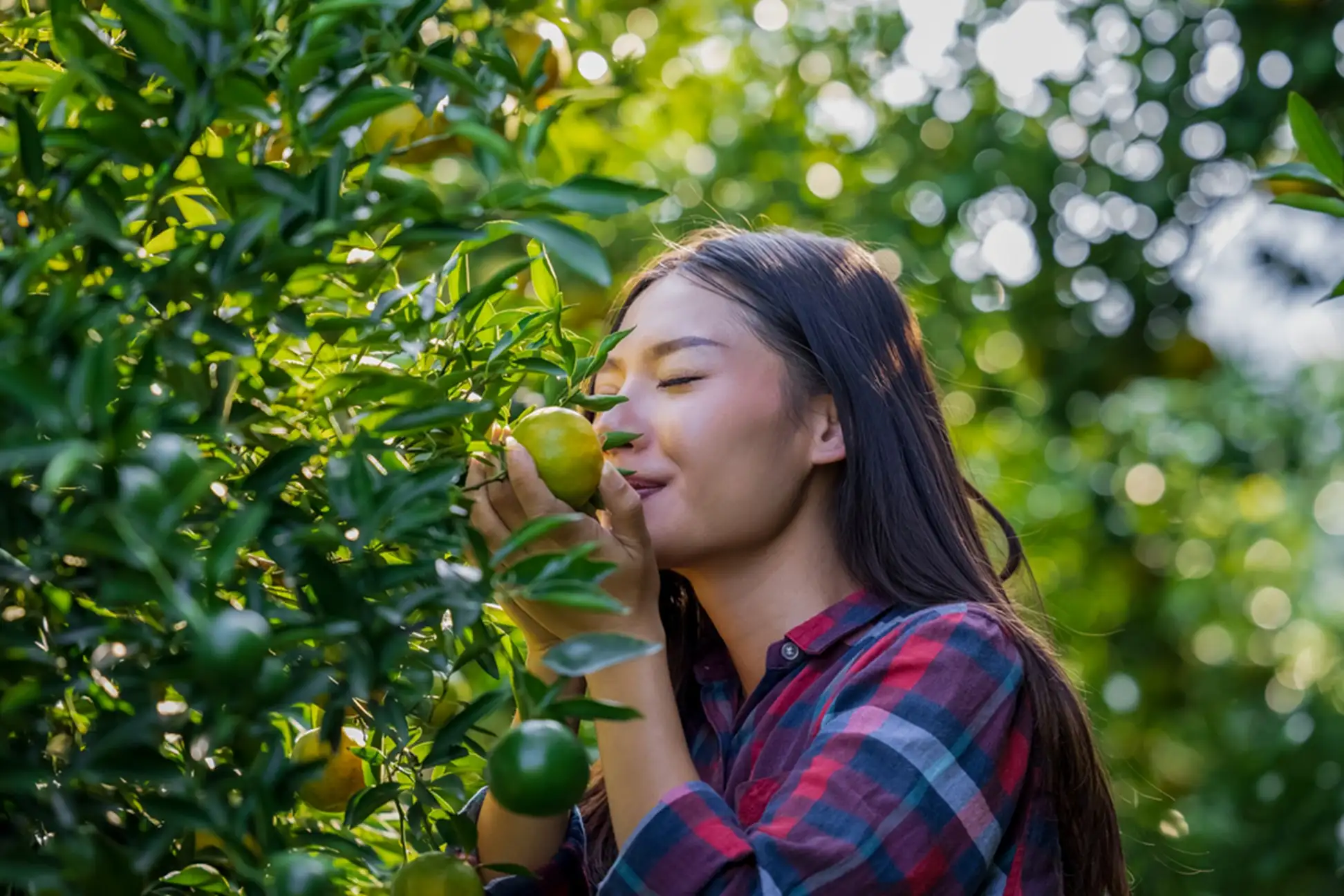 Woman smelling lemon in garden