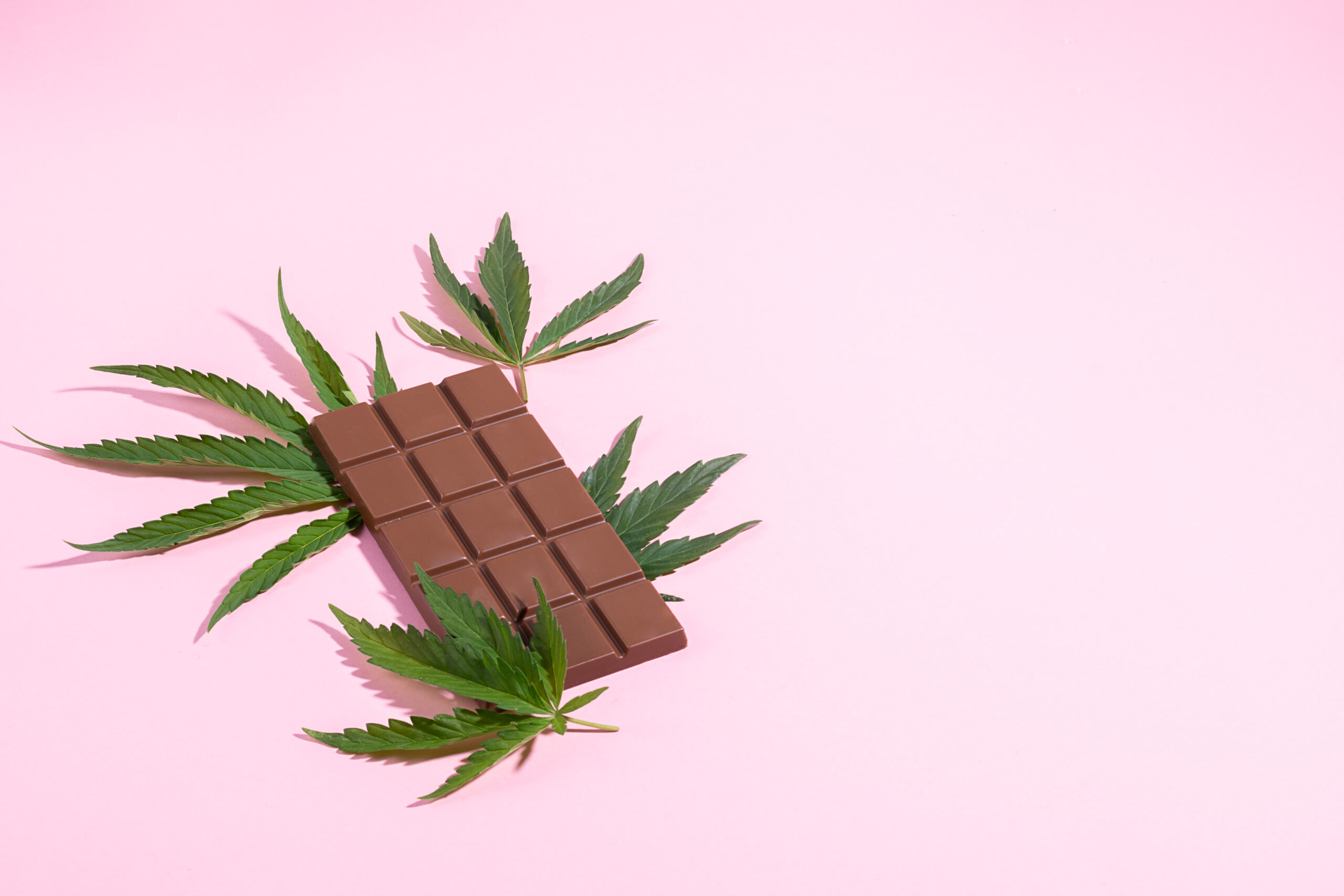 Dark chocolate and cannabis cannabis leaf on pink background. Horizontal frame copy space top view.