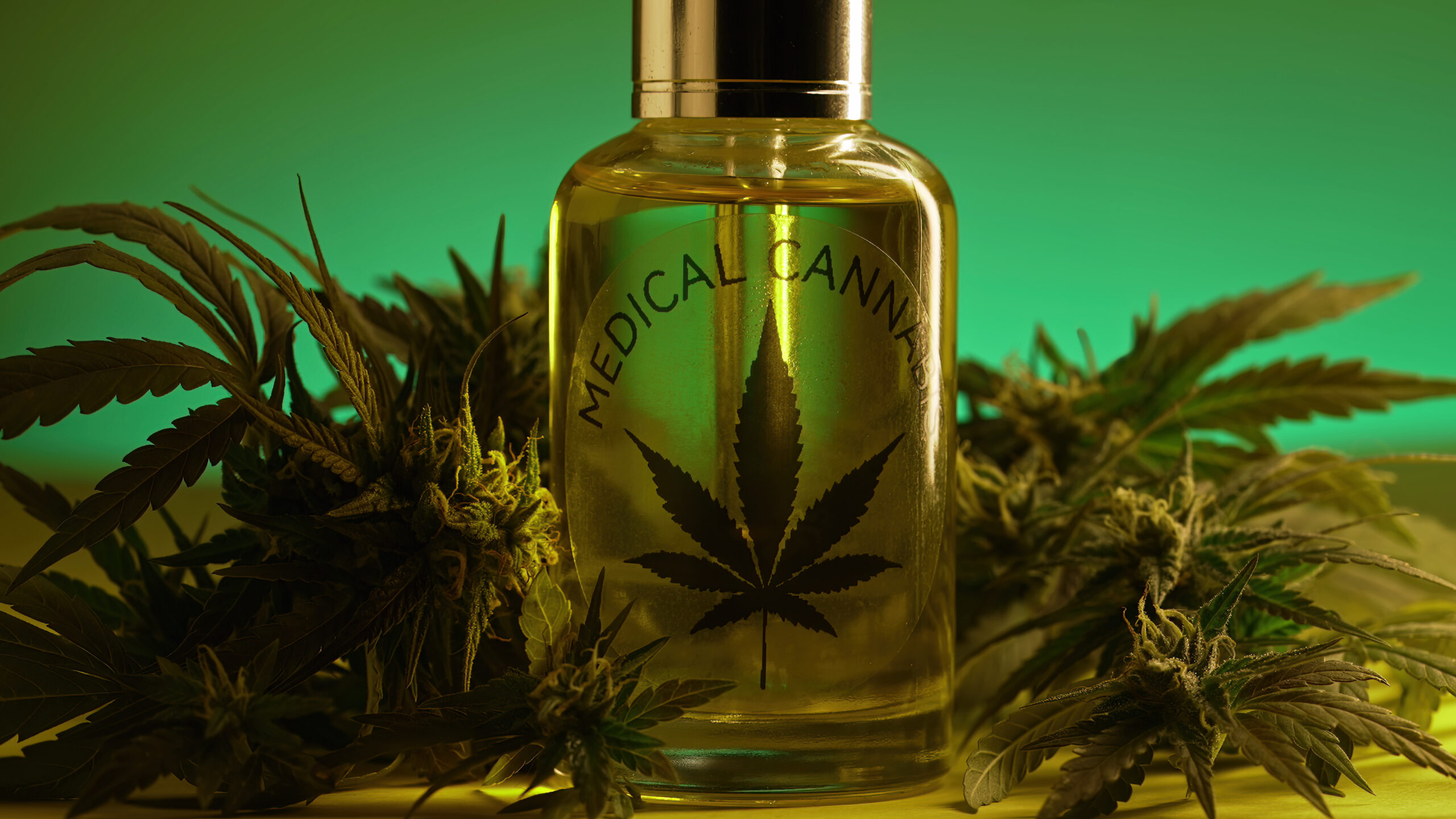 Glass bottle with cannabis THC tincture,herbal treatment.Pharmaceutical hemp oil