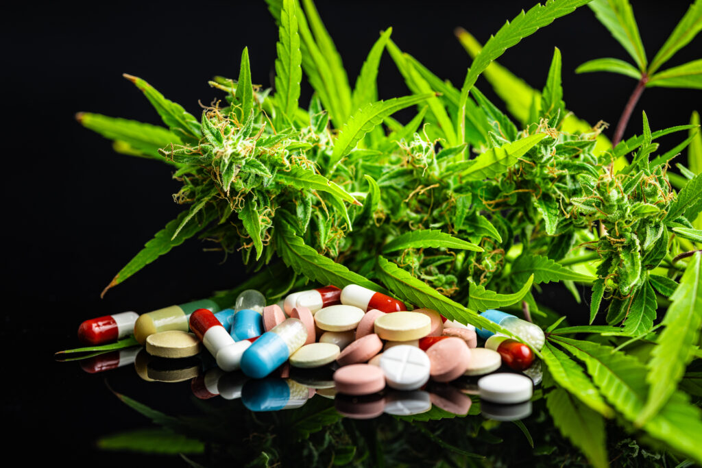 Marijuana buds. Cannabis plant and pills on black table.