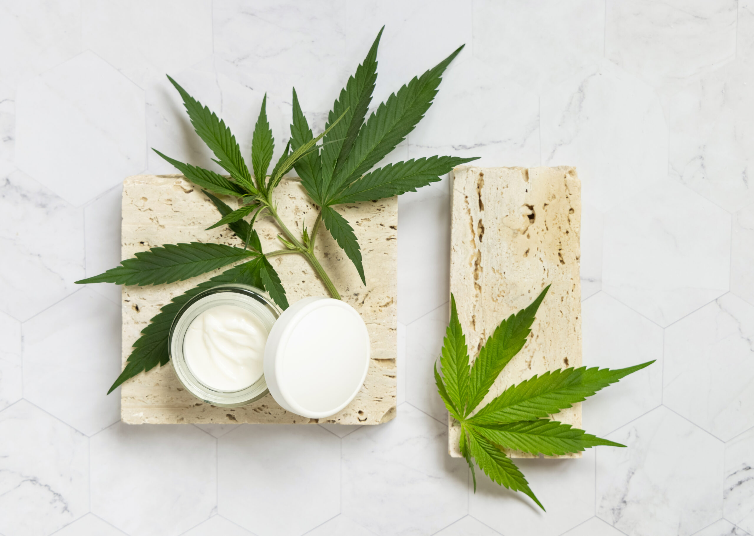 Opened cream jar with a lid and green cannabis leaves on stone t